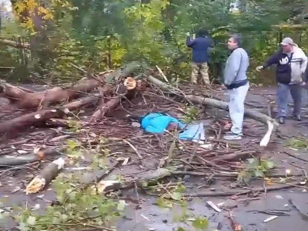 Многодетная мама, погибшая от падения дерева, переехала в Гуково из ЛНР