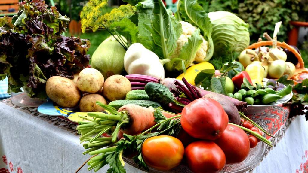 Какие овощи в мае. Сезонные продукты. Летние овощи. Сезонные овощи. Овощи России.