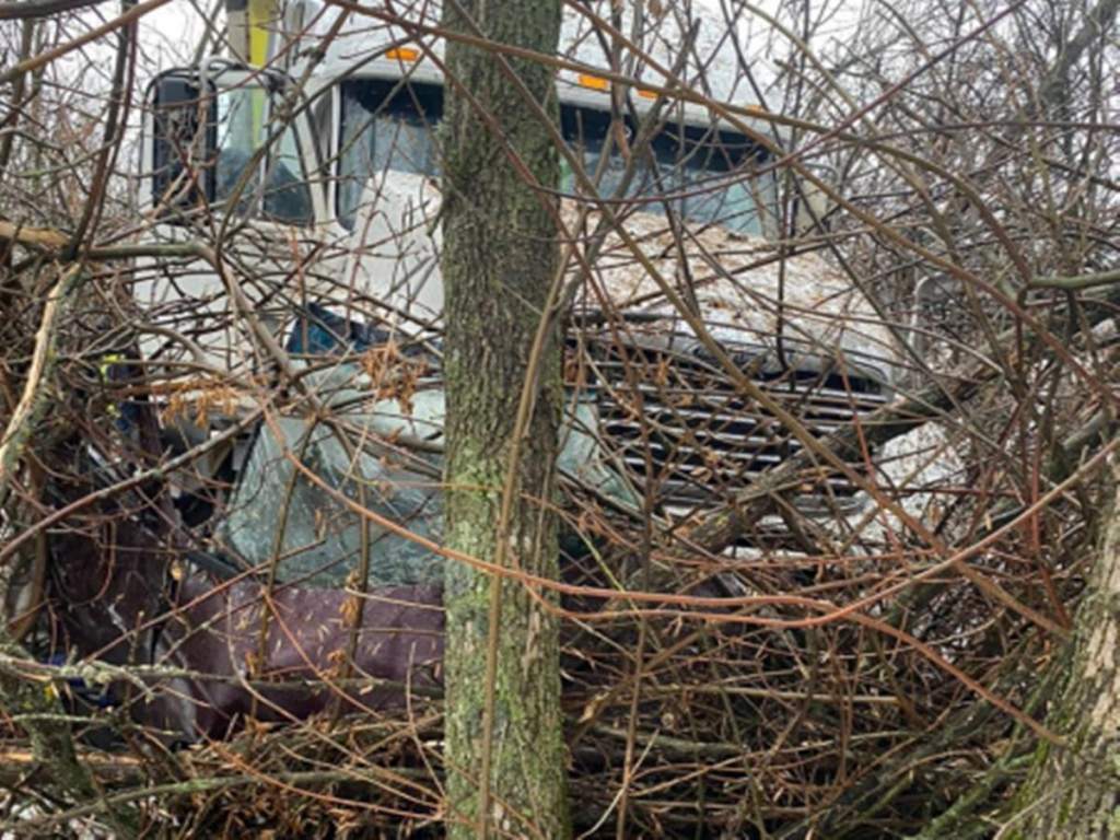 Водитель из Ростовской области спровоцировал смертельную аварию под Воронежем