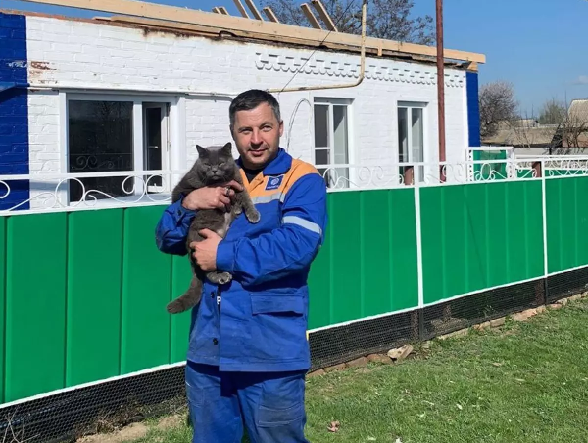 В Ростовской области кошка спасла хозяев во время пожара